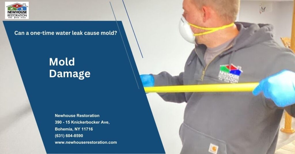 Can a one time water leak cause mold?